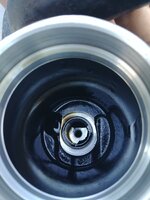 IMG_8455.jpeg