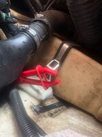 IMG_1143.jpeg