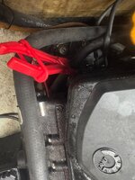 IMG_1144.jpeg
