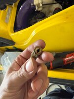 IMG_2115.jpeg