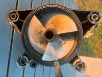 IMG_2004.jpeg