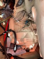 IMG_5268.jpeg