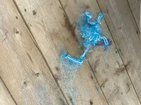 IMG_3405.jpeg