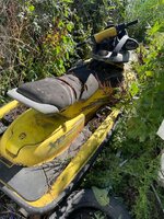 IMG_5286.jpeg
