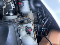 IMG_2082.jpeg