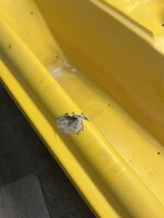 IMG_2849.jpeg