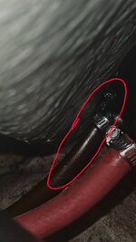 20250831_175644.jpg