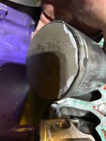 IMG_8601.jpeg