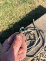 IMG_2908.jpeg