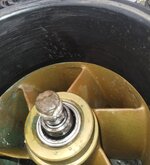 96_port_wearring.jpg