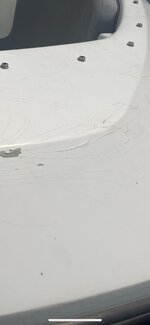 IMG_1850.jpg
