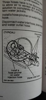 img1.jpg