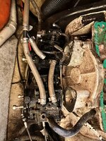 IMG_6812.jpeg IMG_6812.jpeg