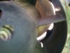 IMG_20120117_170851.jpg