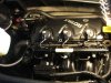 DSCF6464.JPG