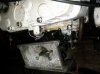 IMG_20120412_153129.jpg