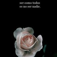 Fer10564