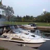 Emmer31