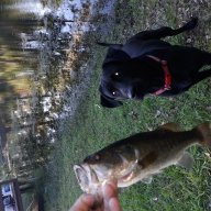 Brokenarrowtransport