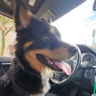 BensGTXFun