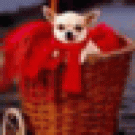 Asseptert