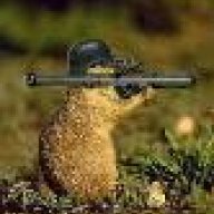 Fyresarge