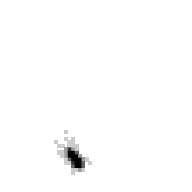 geoholl