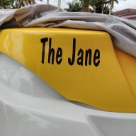 The Jane