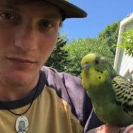 Kevinkoop