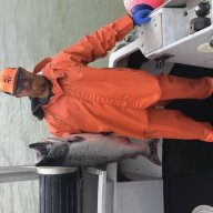 Jetjack530