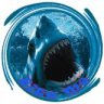 aquanut