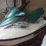 DolphinLover30