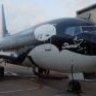 I Fly Shamu
