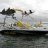 VORTEX KITE WAKE N SKI