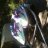 glasssurfer