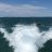 Fulcrum