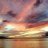HI_Life808