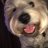 Toby t