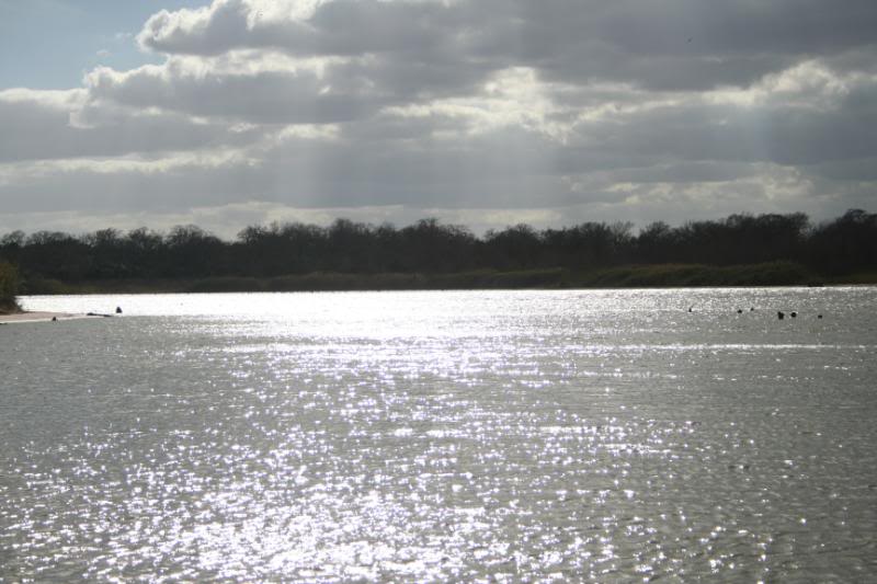 145.jpg