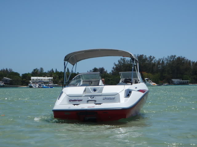 156.jpg