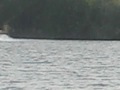 203.jpg