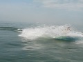 95.jpg