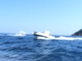 63.jpg