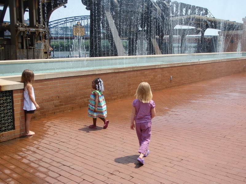 193.jpg