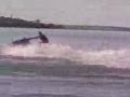 149.jpg