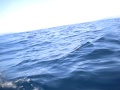 86.jpg