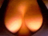 4.gif