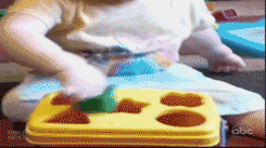 1.gif