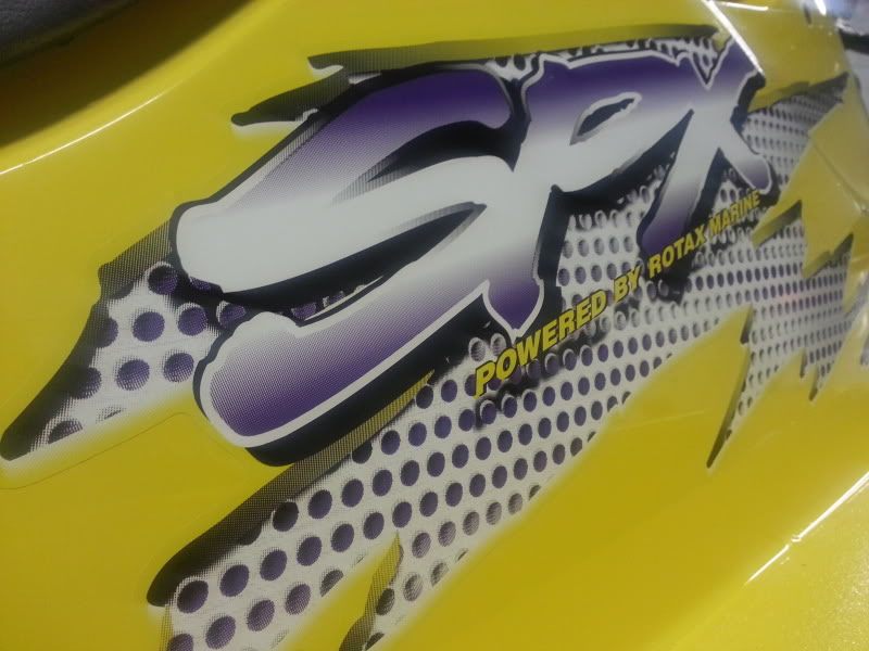 355.jpg