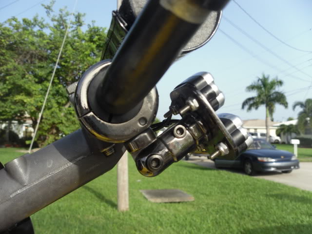 523.jpg